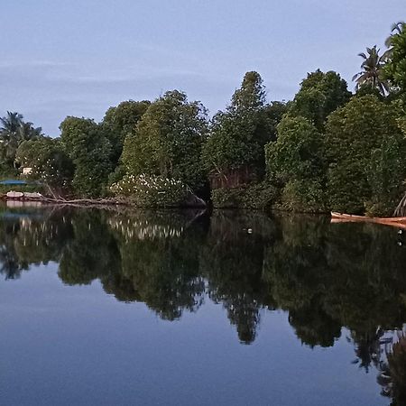 Villa River View Aluthgama Εξωτερικό φωτογραφία