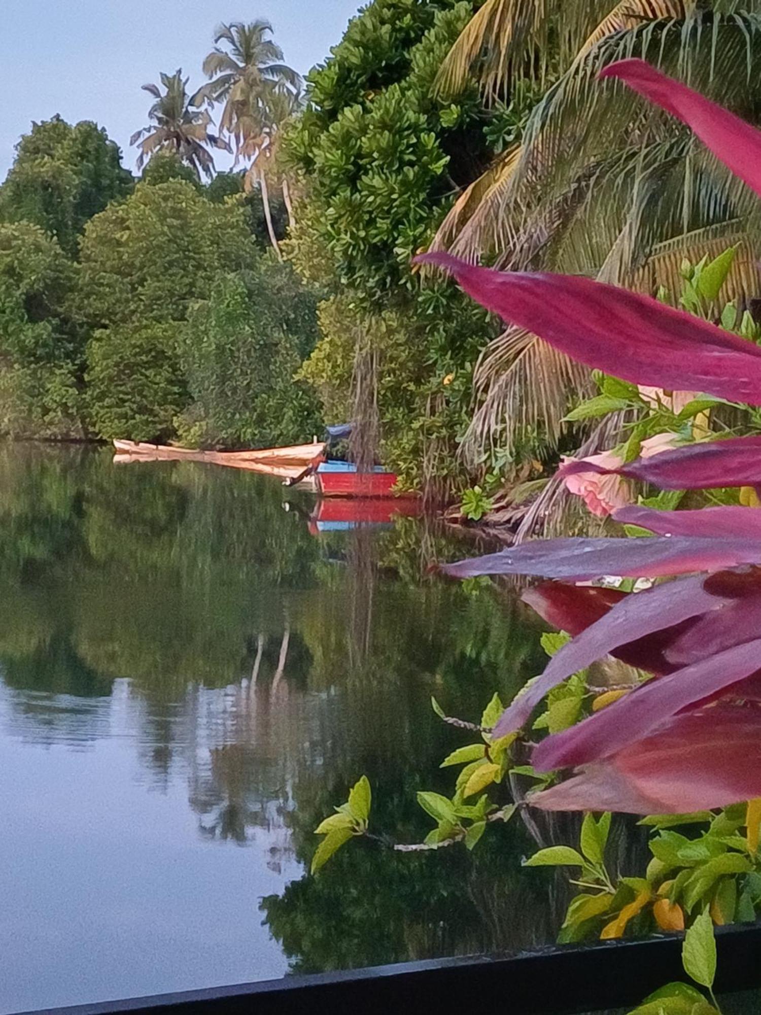 Villa River View Aluthgama Εξωτερικό φωτογραφία